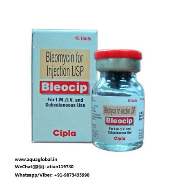 Bleocip