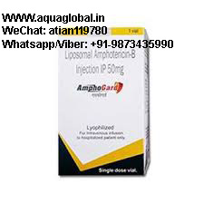 Amphogard