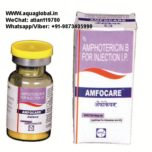 Amfocare