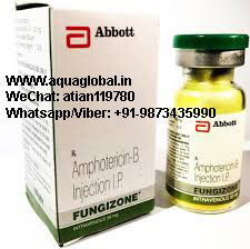 Fungizone