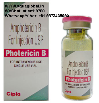 Photericin B