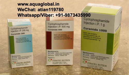 Curamide-200mg/500mg/1000mg