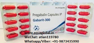 Gabarit-300mg