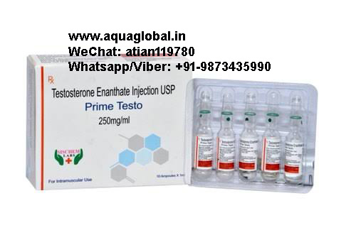 Prime Testo