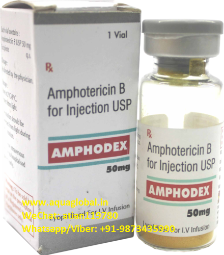 Amphodex